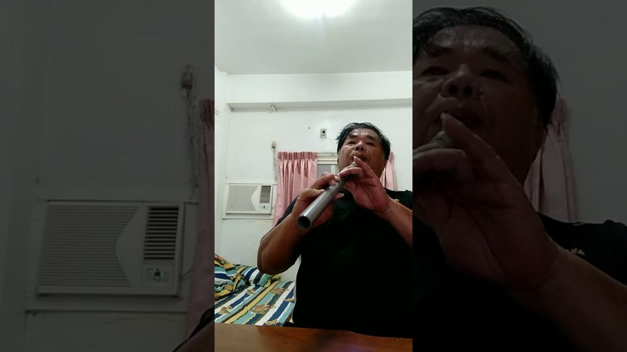 （國樂，平湖秋月）木舞山人謝欽錠自製水管洞簫吹奏！ смотреть онлайн
