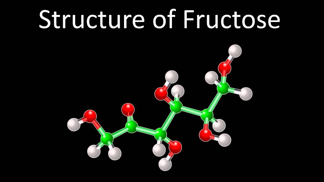 Disaccharides...... смотреть онлайн