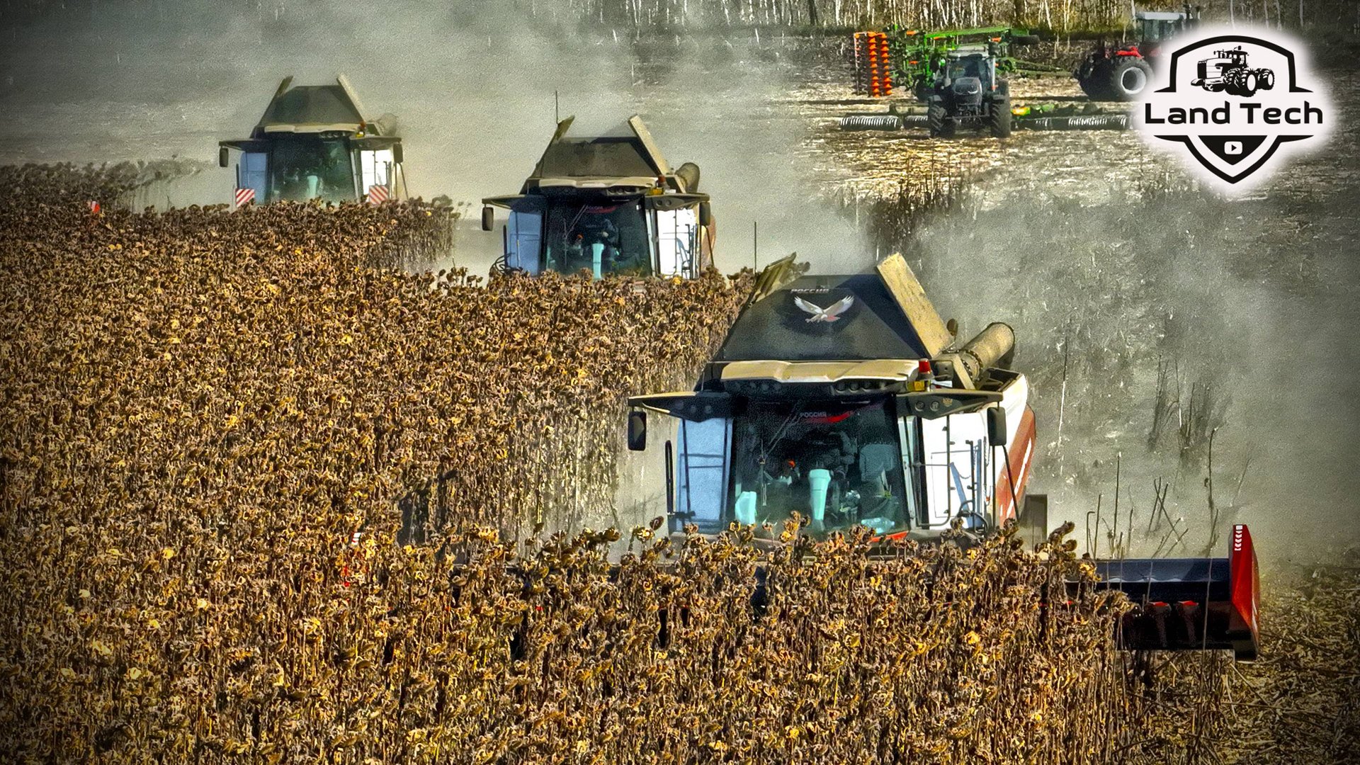 Красивая уборка подсолнечника на новых комбайнах Т500 Ростсельмаш - 2024! смотреть онлайн