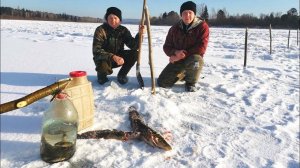 ПЕРВЫЙ ЛЁД.ЛОВИМ НАЛИМА НА ТЫЧКИ.