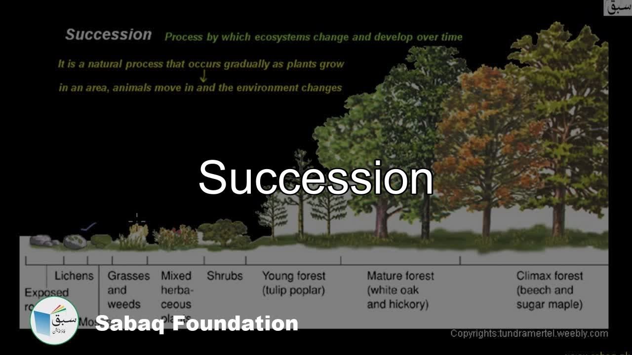 Succession, Biology Lecture | Sabaq.pk смотреть онлайн