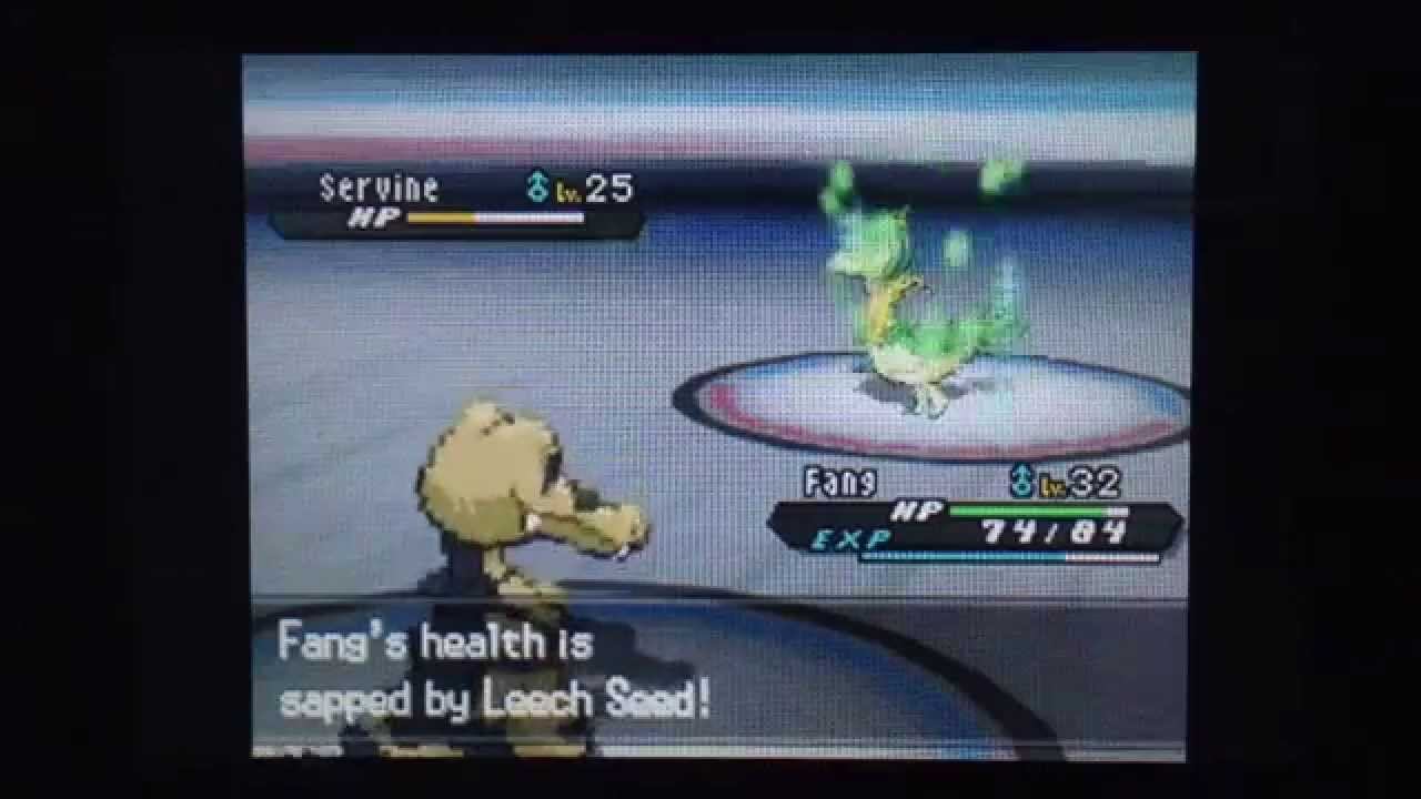 Pokémon Black 2 Let's Play Episode 11: QUAKE BADGE, PWT, AND VIDEO CRASH? смотреть онлайн