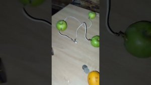 батарейка из фруктов