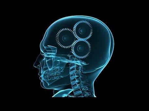 СТУПЕНИ К ИСТИНЕ \ К ЗАГАДКЕ СОЗНАНИЯ смотреть онлайн