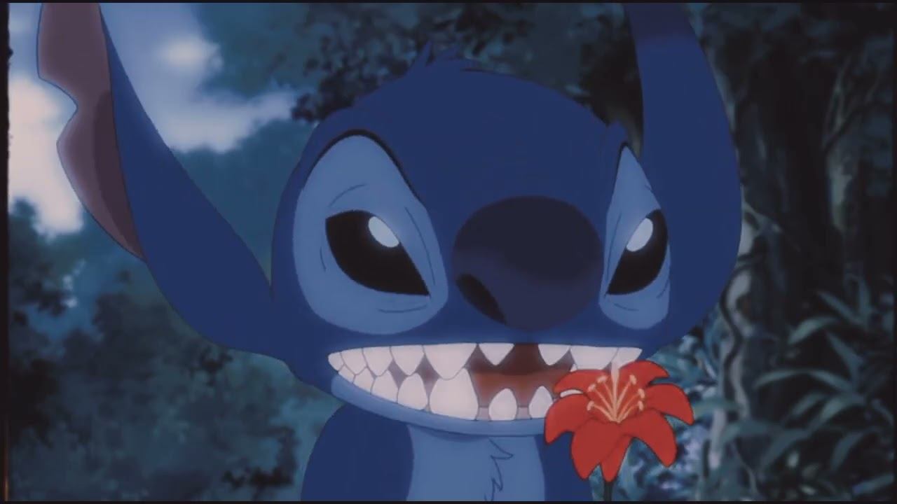 Стич (626) и Ангел (624)