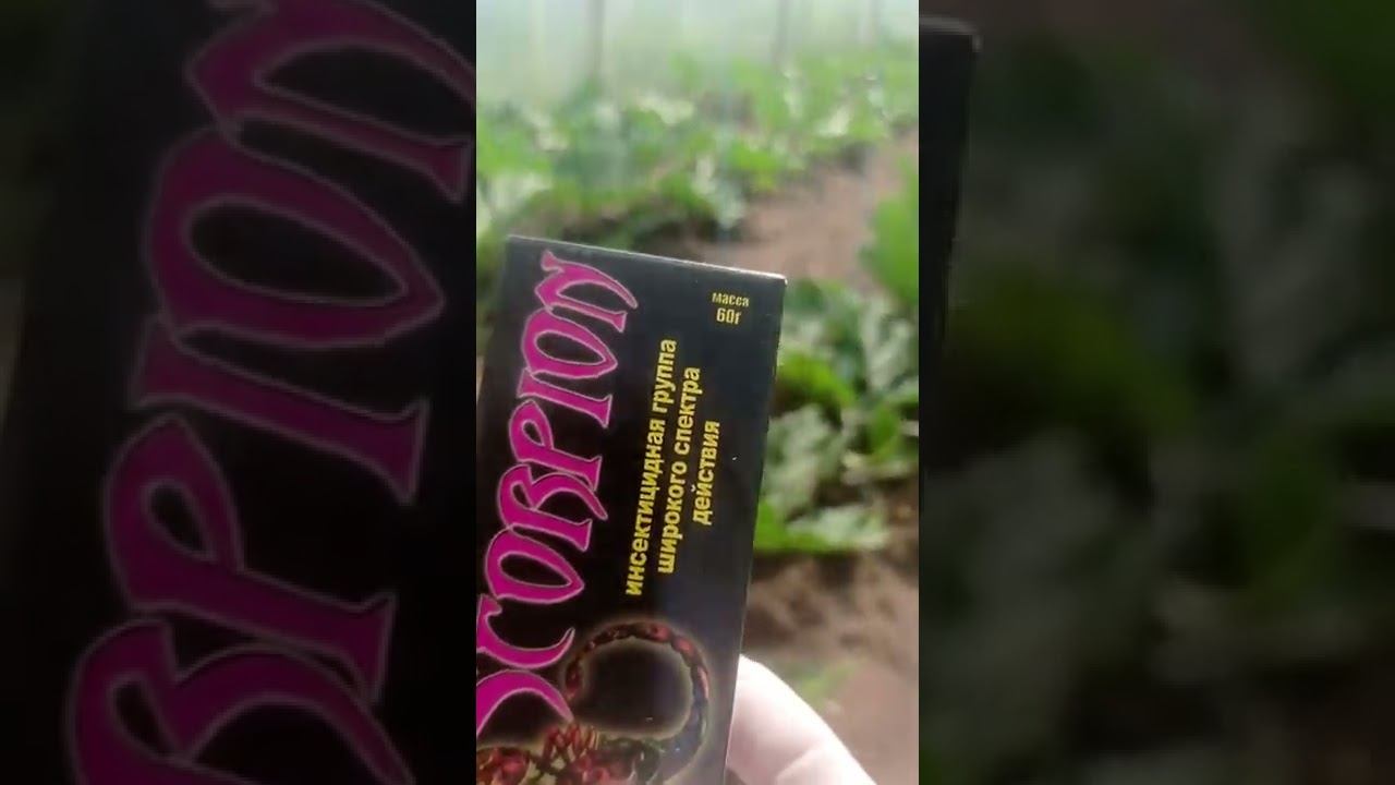 21 июня 2022 г. смотреть онлайн