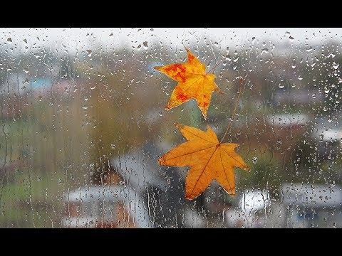 В Беларуси придут дожди и мокрый снег смотреть онлайн