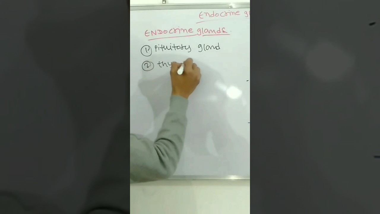 Endocrine glands (Names) #medical #nursing #biology #anatomy #Physiology By:-@vrandavan_sharn смотреть онлайн