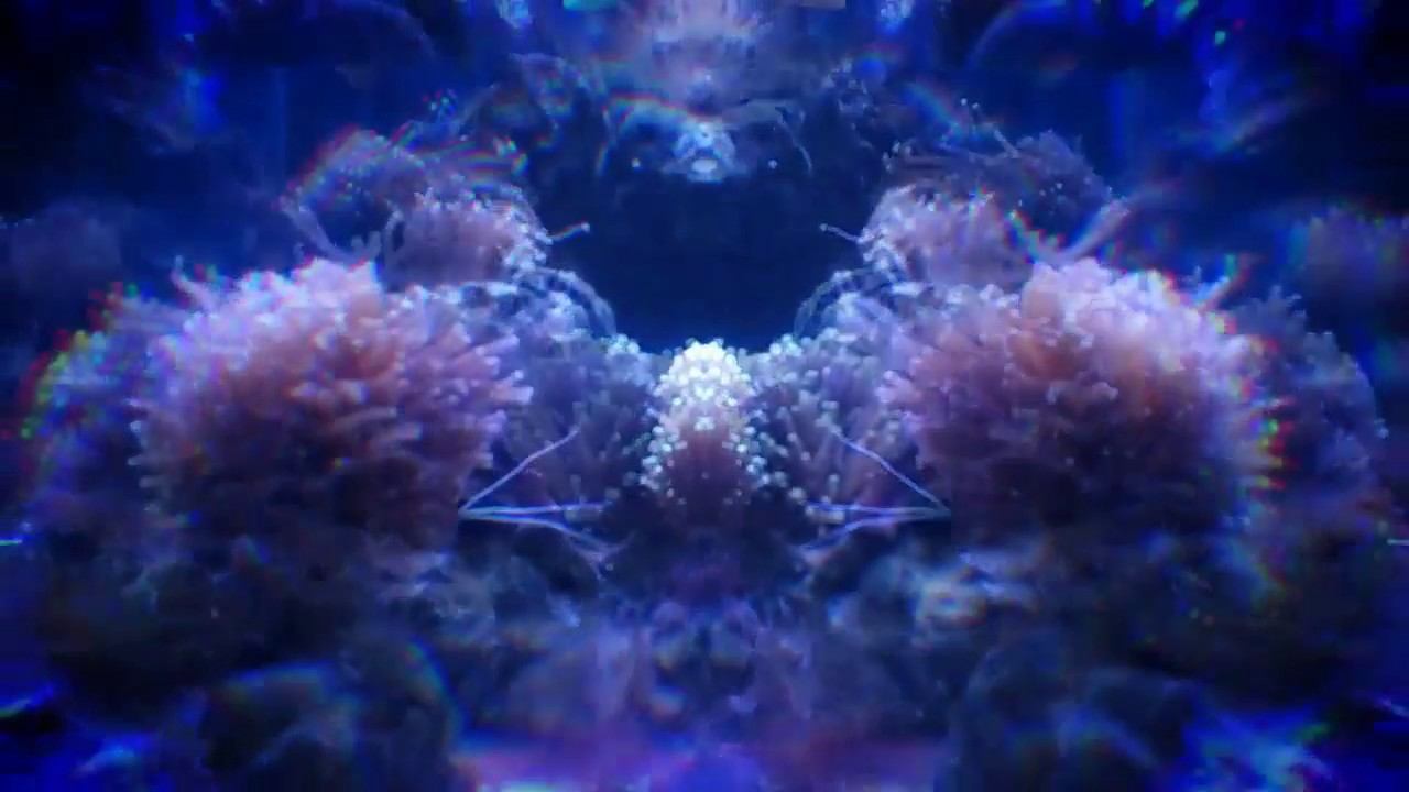 Travel Film ♡ Kiev Oceanarium смотреть онлайн