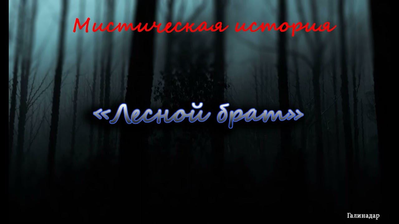 Галина Дарсаева - Лесной брат смотреть онлайн