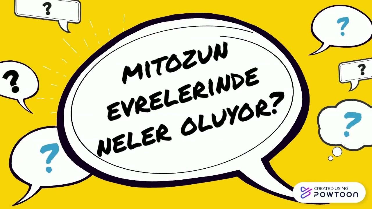 7.Sınıf Mitoz Bölünme Konu Anlatımı смотреть онлайн