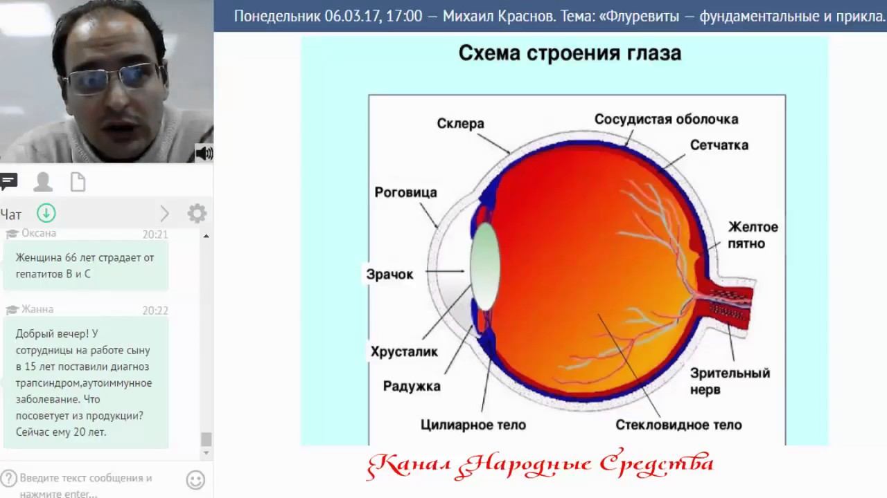 М. Краснов. Органы зрения и виофтаны, 1 часть (06.03.2017) смотреть онлайн