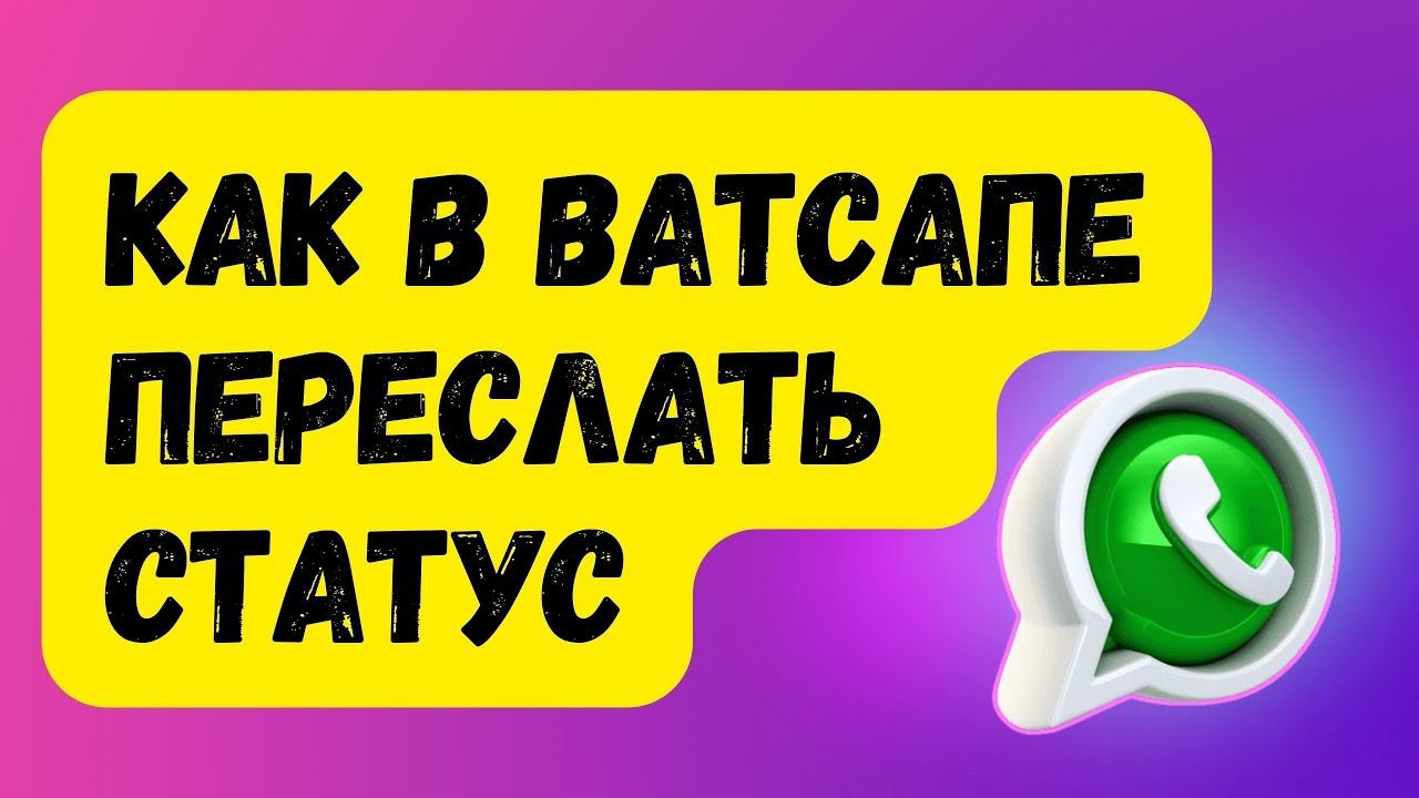 Как ПЕРЕСЛАТЬ СТАТУС в Ватсапе смотреть онлайн