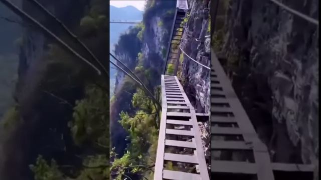 Верю в тебя. Дмитрий Шлапак смотреть онлайн