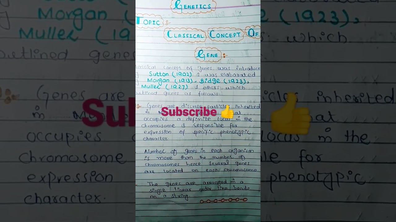 classical concept of gene. urdu/hindi#Msc #neet#NCRT#ppsc #medical#NTS #TheExcellenceacademy смотреть онлайн