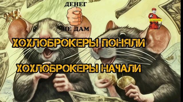 ХОХЛОБРОКЕРЫ ПОНЯЛИ, ХОХЛОБРОКЕРЫ НАЧАЛИ... смотреть онлайн