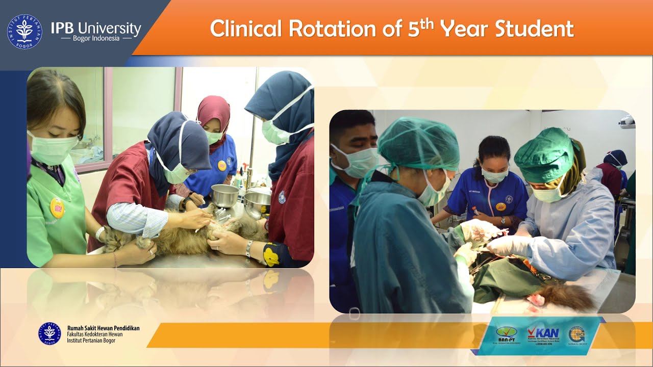 Profil RSHP FKH IPB University (versi lama) смотреть онлайн