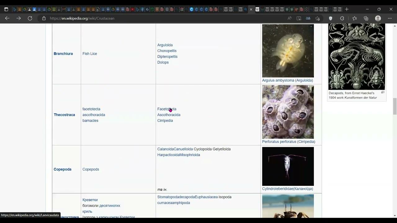 походження і риси ракоподібних смотреть онлайн