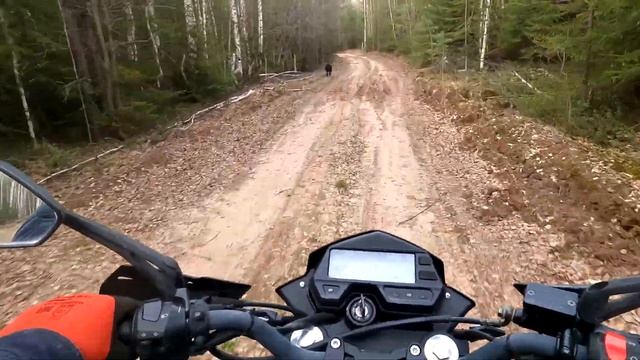 ПРОГУЛКА НА ЭНДУРО ZID 250 ПО ЛЕСУ