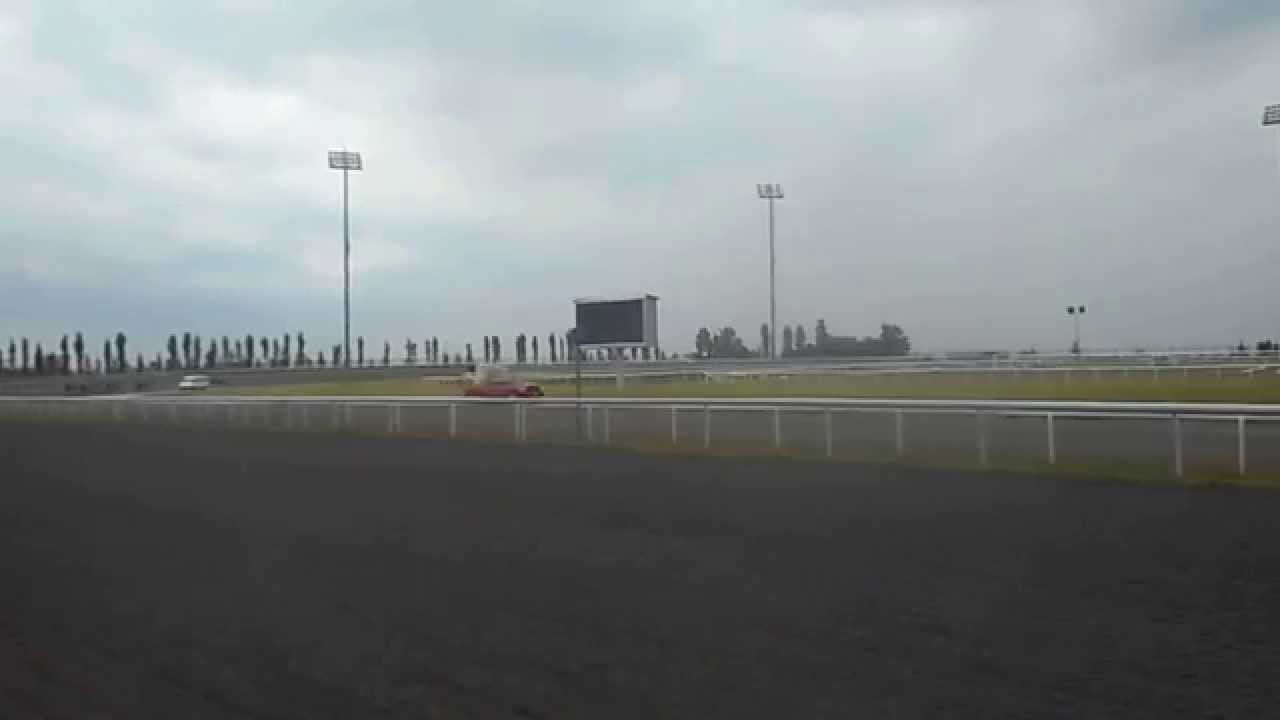 Рысаки. 25.07.215г. смотреть онлайн