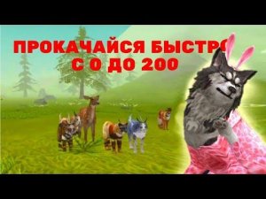 🔥Как быстро 🏃♀️ прокачаться в Вилд Крафт 2020 с нуля . Открытие сундуков. Баги на прокачку 🦒.