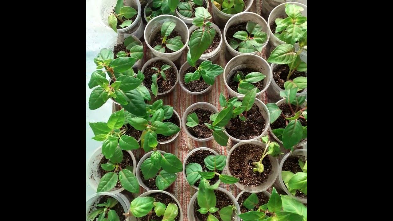 2 октября 2021 г. смотреть онлайн