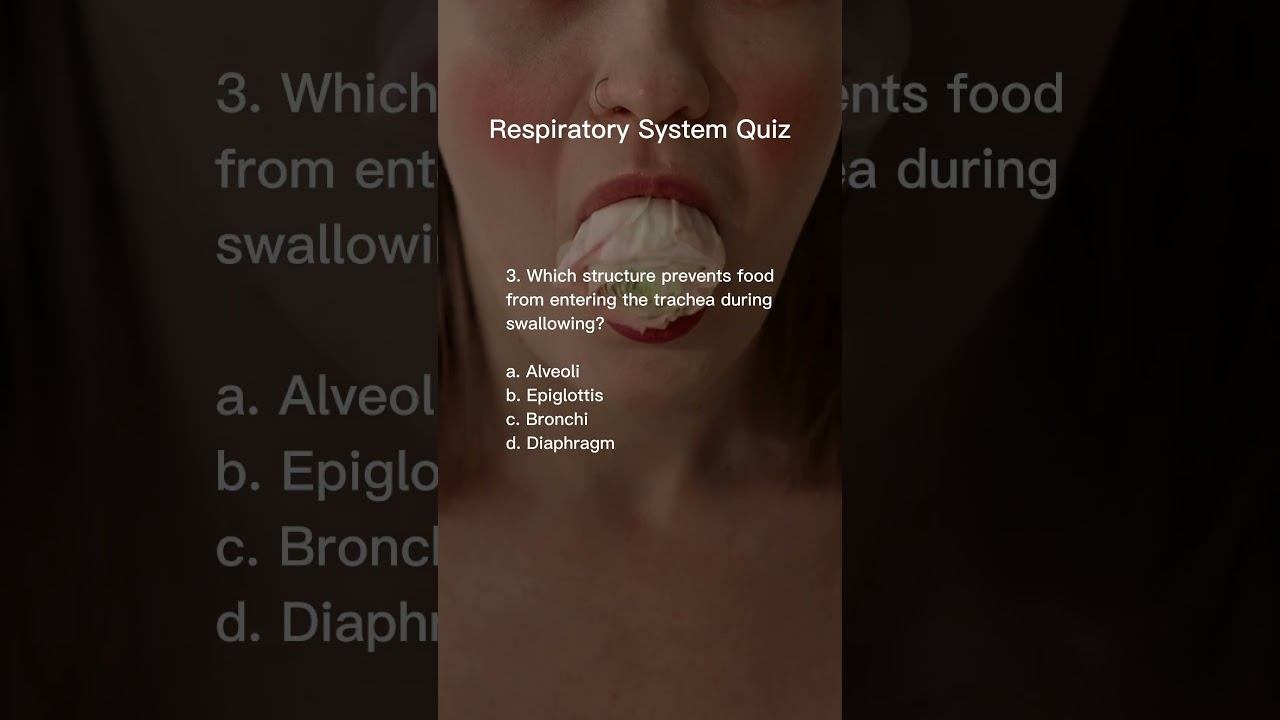 Respiratory System Quiz #quiz #science #trivia #education смотреть онлайн