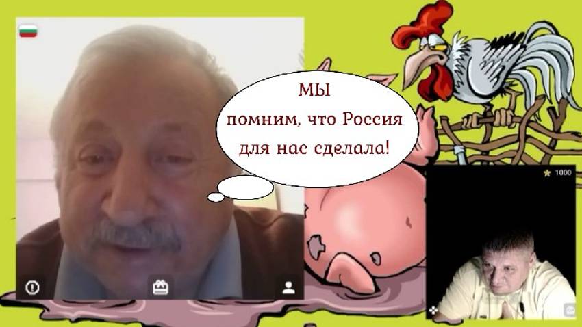 Мнение взрослого болгарина и стационар 20-21.11.24 смотреть онлайн