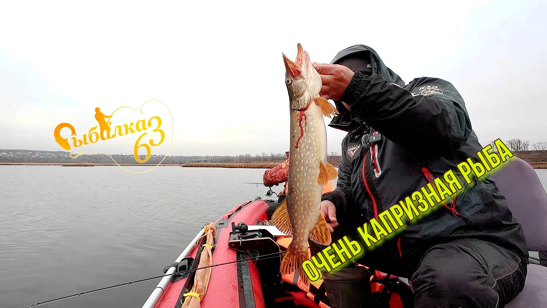 ИЩЕМ ОСЕННЮЮ ЩУКУ ПО ЗАТОНАМ. ОЧЕНЬ КАПРИЗНАЯ РЫБА, КТО ЗНАЕТ ПОЧЕМУ? смотреть онлайн