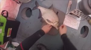 Как поймать 33 леща за ночь. Жор леща в новогоднюю ночь. Белоярка, первая рыбалка 2022г.