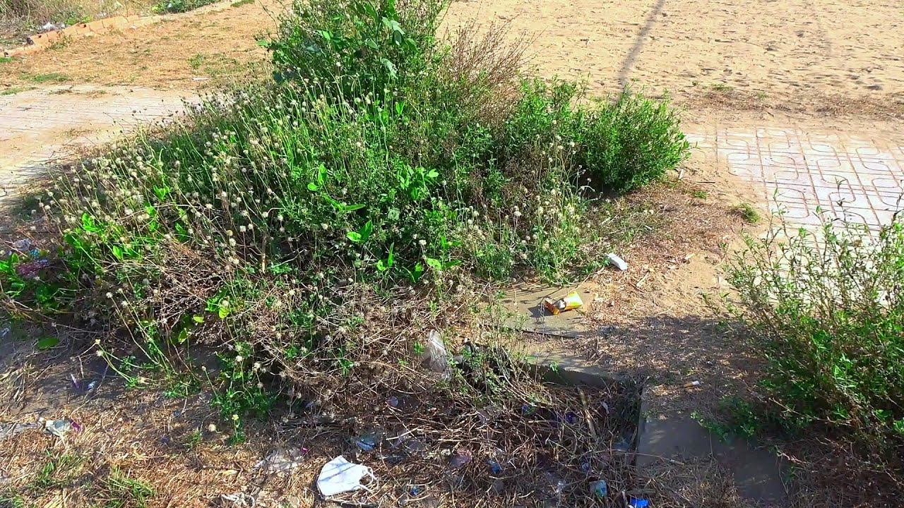 The Play Area Had A Lot Of Dust And Trash And I Cleaned It Immediately смотреть онлайн