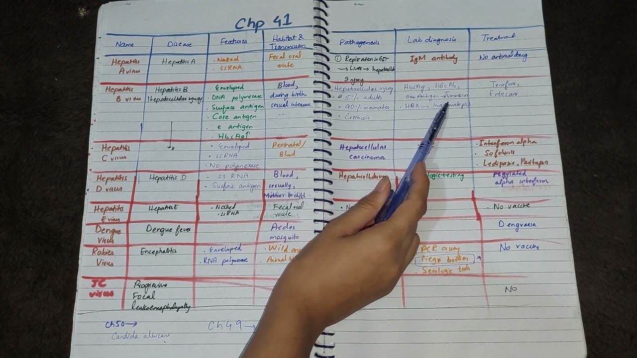 Ch 41 fast review (Microbiology) смотреть онлайн