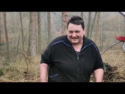 Těžba A Přiblížení Ve Stráni