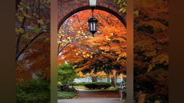 Времена года. А. Вивальди. Осень. смотреть онлайн