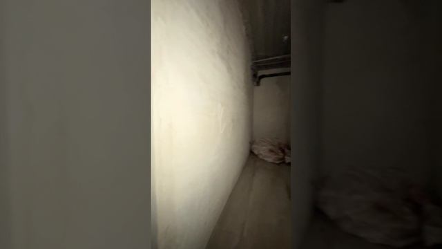 25-11-2024 смотреть онлайн