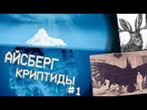 САМЫЕ ЗАГАДОЧНЫЕ СУЩЕСТВА (АЙСБЕРГ КРИПТИДЫ 1) смотреть онлайн