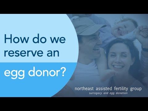 How Do We Reserve an Egg Donor? | AssistedFertility.com смотреть онлайн