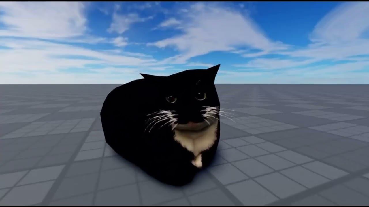 Maxwell cat for 10 minutes смотреть онлайн