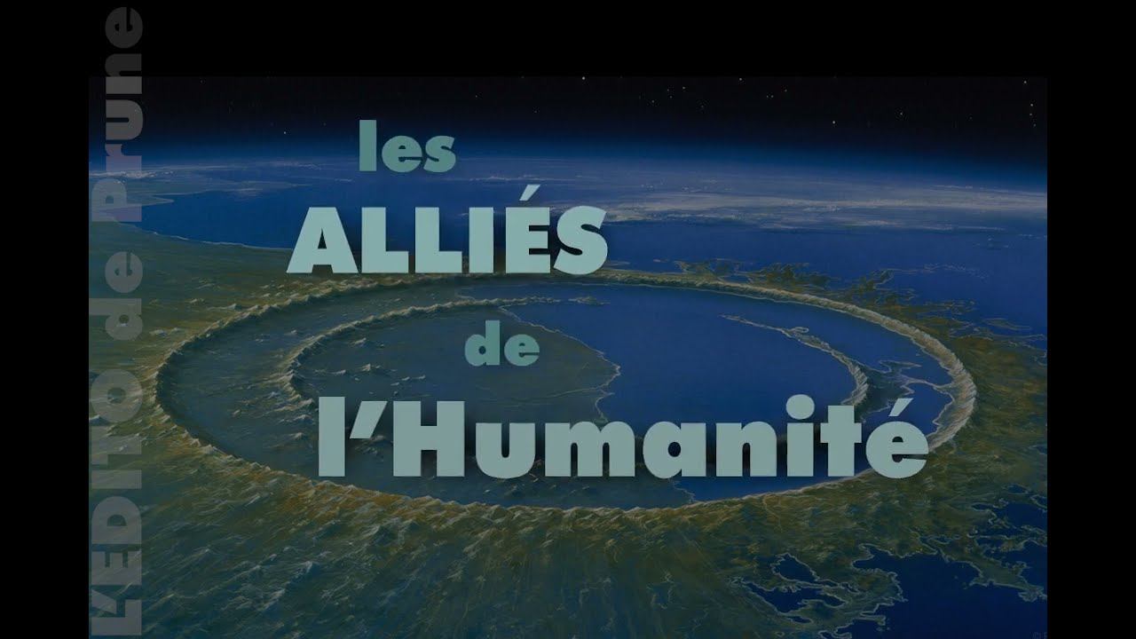 LA SUITE DES ALLIÉS DE L'HUMANITÉ - Lecture et réflexions смотреть онлайн