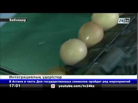 Интеграциялық үдерістер смотреть онлайн