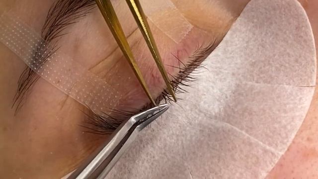 обучение наращивание ресниц М, L изгибы как подбирать в работе чем отличается разных ТМ смотреть онлайн