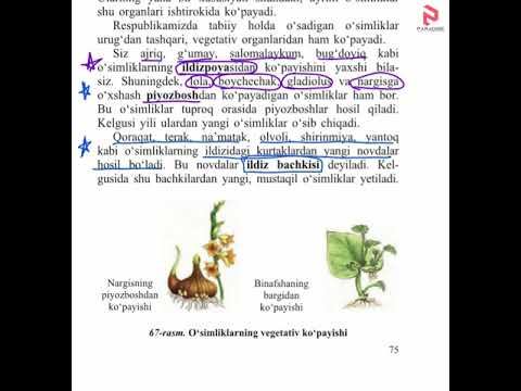 Biologiya 30 31 Mavzu 6 Sinf смотреть онлайн