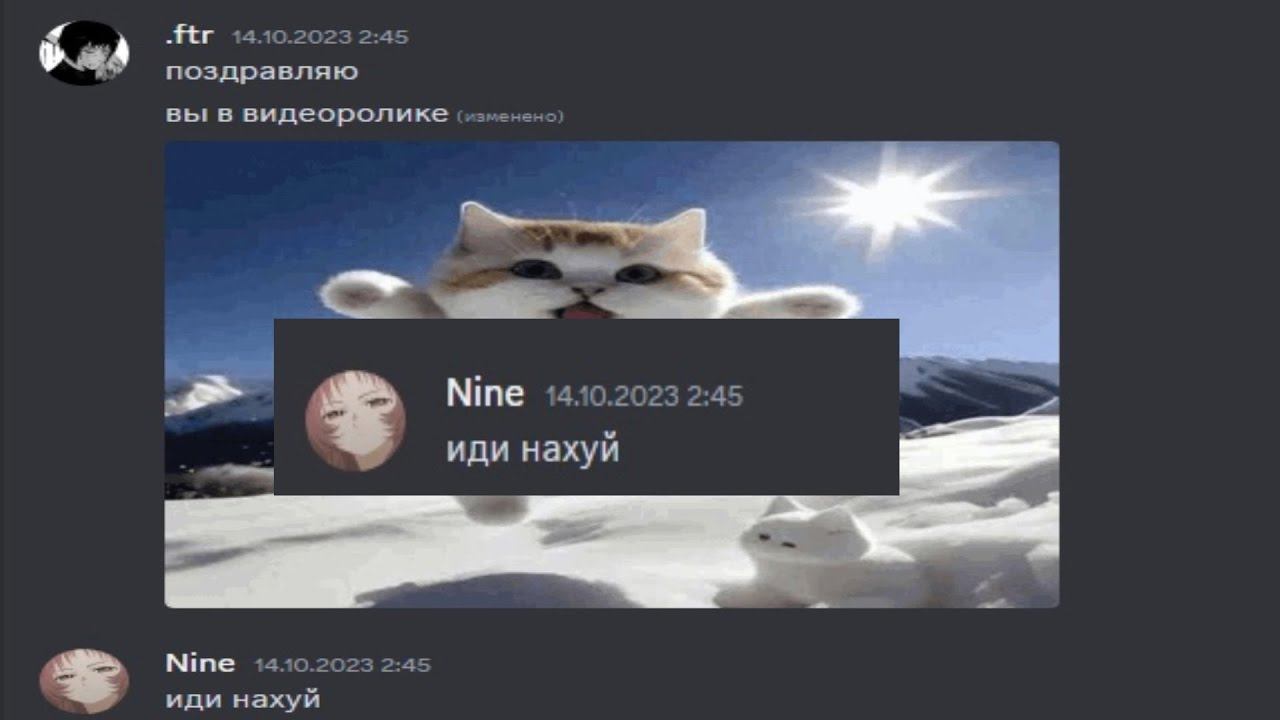 даю угла под фонк перед топ 2 предатором набираю форму смотреть онлайн