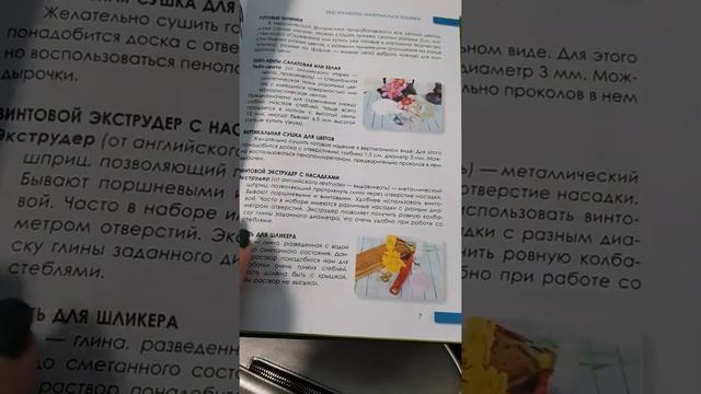 Полистать книгу "Холодный фарфор. Райский сад у тебя дома" смотреть онлайн