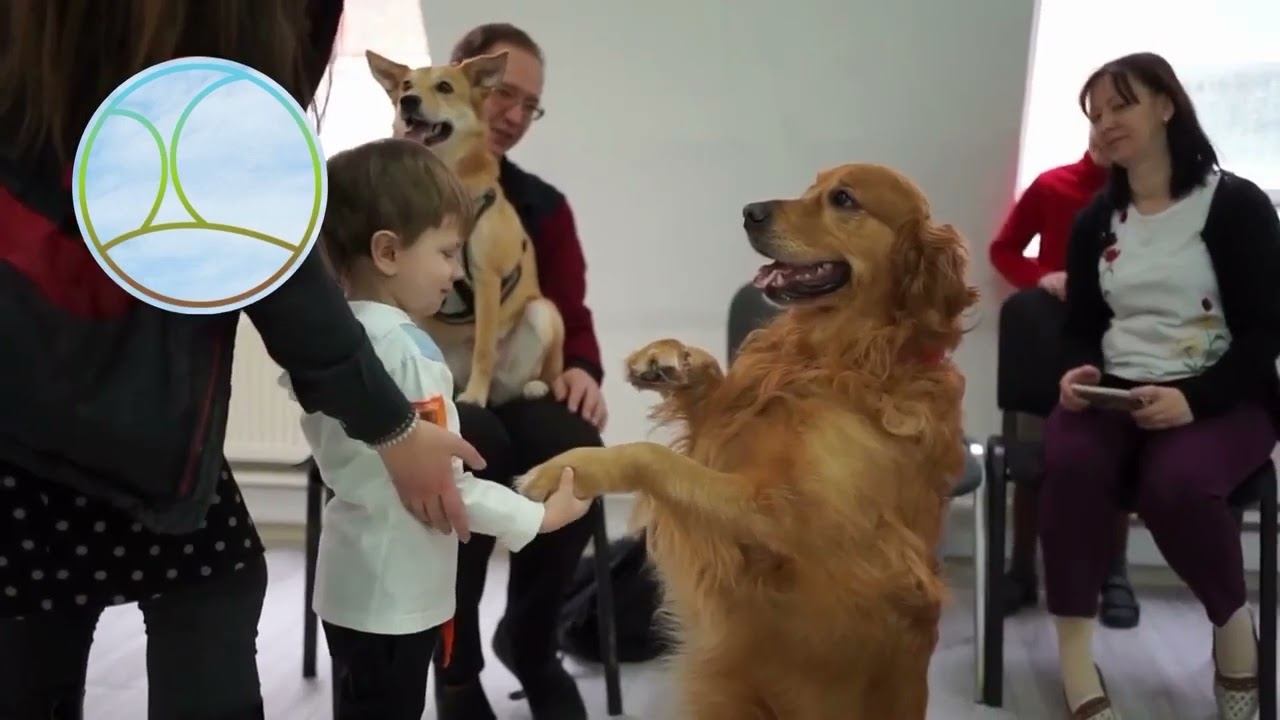 Занятия канистерапией