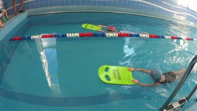 соревнования по плаванию 23 ноября 2024 смотреть онлайн