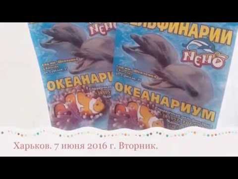 Дельфинарий "NEMO" смотреть онлайн