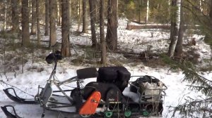 Охота на куницу капканами. сезон 24-25г. / ПЕРВЫЙ ВЫЕЗД НА МОТОСОБАКЕ.