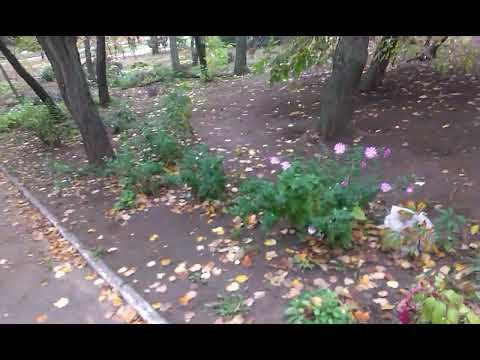 664. Философия . Платон.Мудрость . смотреть онлайн