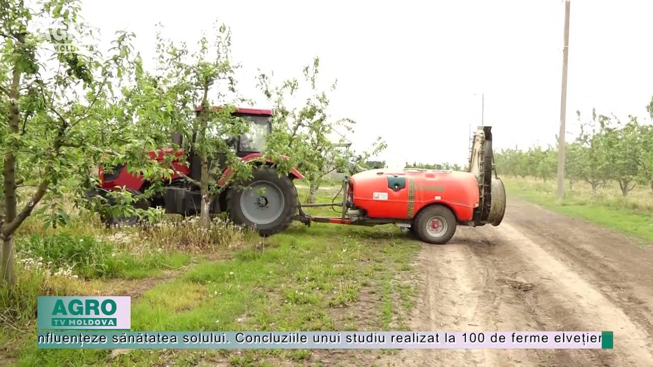 Cât timp rămân în sol pesticidele folosite în agricultură? – AGRO TV News смотреть онлайн